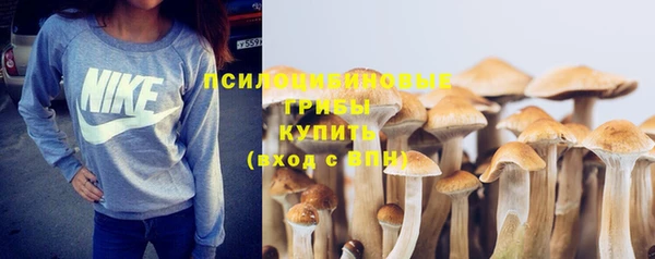 spice Абаза