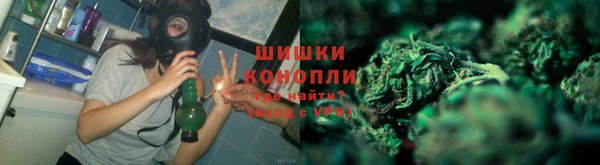 индика Абдулино