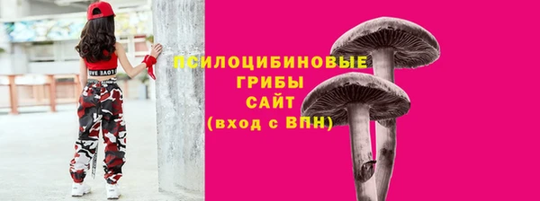 spice Абаза