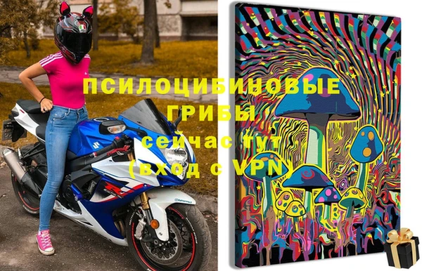 spice Абаза