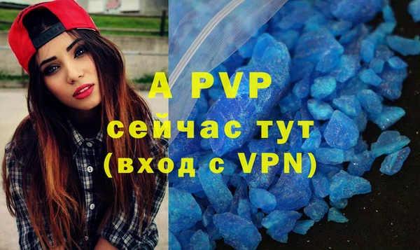 spice Абаза