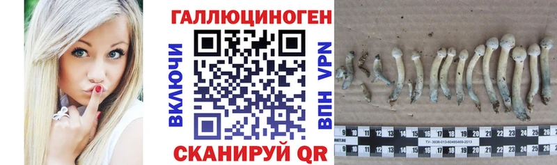 Псилоцибиновые грибы GOLDEN TEACHER  OMG зеркало  Северодвинск 